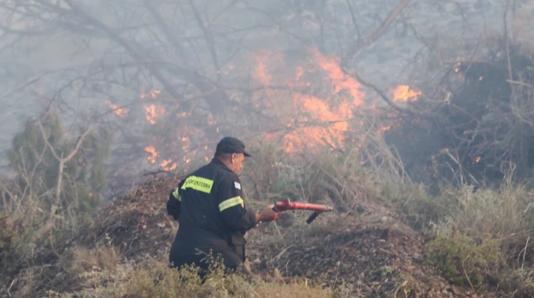 Αλεξανδρούπολη: Εψηνε παϊδάκια αλλά... έβαλε φωτιά στο δάσος
