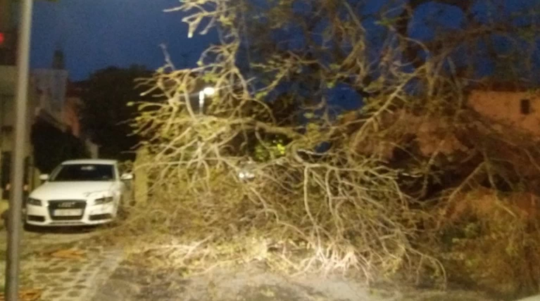Ξεριζώθηκαν δέντρα από την κακοκαιρία - Χαλάζι στη Χαλκηδόνα