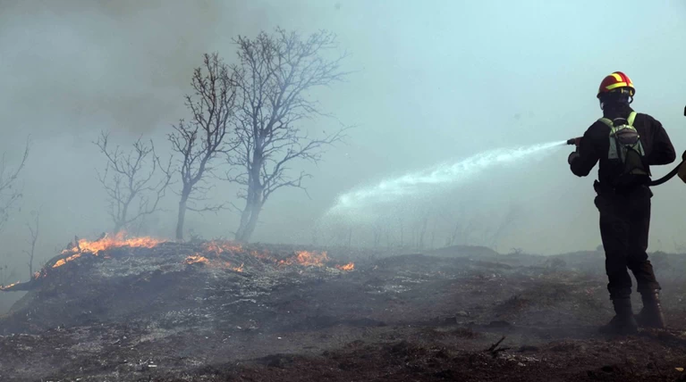 Μεγάλη φωτιά σε εξέλιξη στην Κέρκυρα. Πνέουν δυνατοί άνεμοι