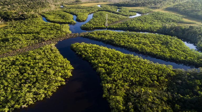 Βραζιλία: Θέλουν να δώσουν 860.000 στρέμματα δάσους για υλοτομία