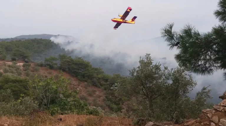Υπό έλεγχο η φωτιά στη Λέσβο - Κάηκαν σπίτια στο Λαγονήσι