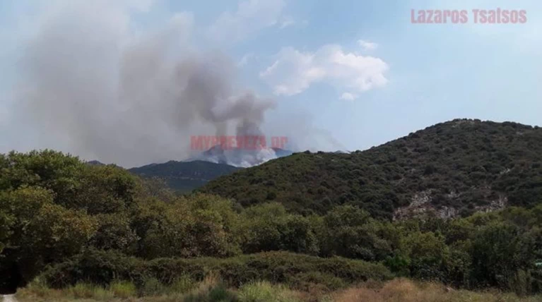 Μεγάλη φωτιά στο δάσος του Αχέρωντα