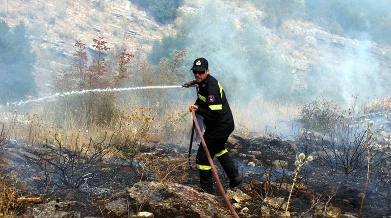 Σε εξέλιξη πυρκαγιά στο Ζέλι Φθιώτιδας
