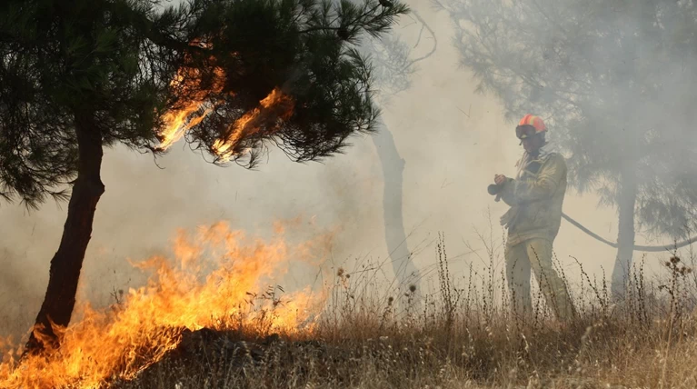 Αλβανία: Σε πύρινο κλοιό χωριά της ελληνικής μειονότητας - Ζητούν βοήθεια