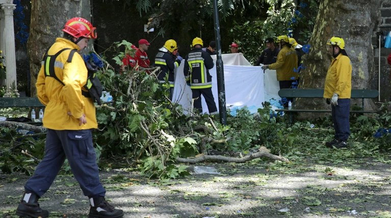 Πορτογαλία: 10 προσκυνητές νεκροί από πτώση δένδρου στη Μαδέρα