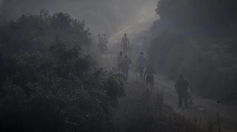 Νεκρά πολλά ζώα στις πυρκαγιές - Πώς μπορείτε να βοηθήσετε