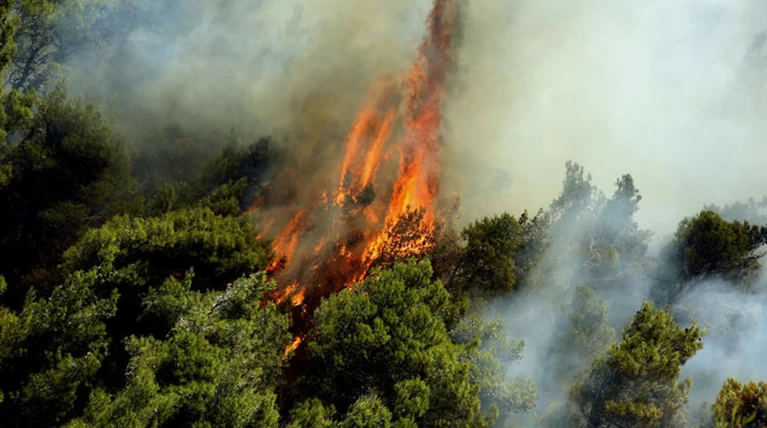 Πυρκαγιά κοντά στον οικισμό των Λεγραινών Σουνίου