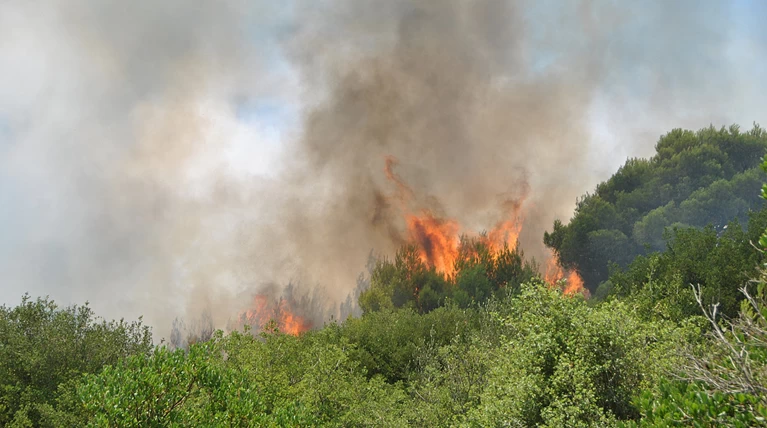 Πυρκαγιά σε αγροτοδασική έκταση στο Ηράκλειο