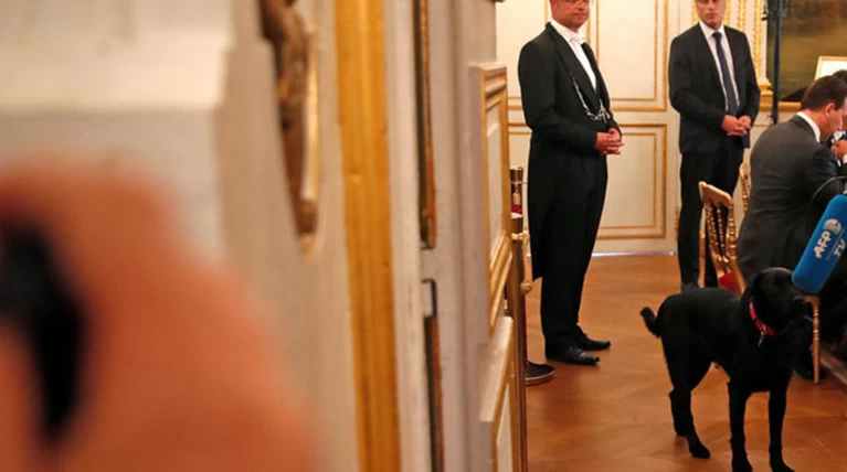 Μαύρο λαμπραντόρ έψαχνε τον Μακρόν στο χώρο του Υπουργικού!
