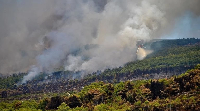 Γιατί οι αιτίες για τις φωτιές στη Ζάκυνθο φτάνουν μέχρι το ...1864