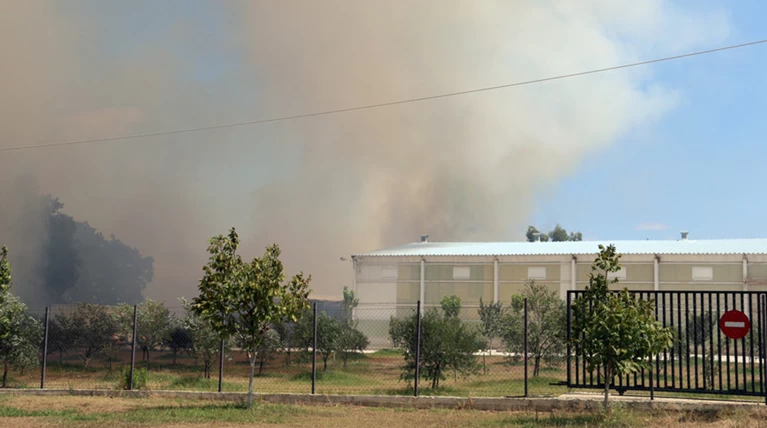 Δύο πύρινα μέτωπα στην Πρέβεζα: Στάχτη εργοστάσιο και θερμοκήπια