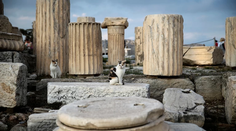 Τα μνημεία «απαγγέλουν» Ομηρο σε μια πρωτότυπη δράση που αλλάζει την πόλη