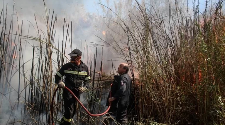 Τρεις φωτιές στην Ηλεία - Απειλείται η κοινότητα Μάκιστος