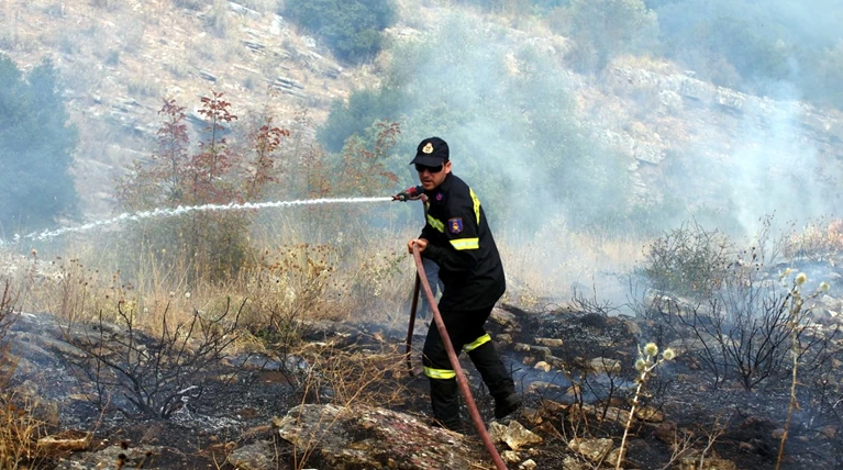 Υπό έλεγχο οι φωτιές σε Κασσάνδρα, Λιβάδι, και Σιδηρόκαστρο