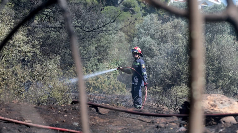 Μεγάλη φωτιά στο Άλσος Συγγρού - Στο σημείο ισχυρές πυροσβεστικές δυνάμεις