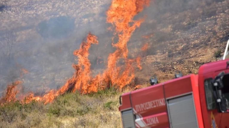 Υπό έλεγχο οι δασικές πυρκαγιές στη Χαλκιδική