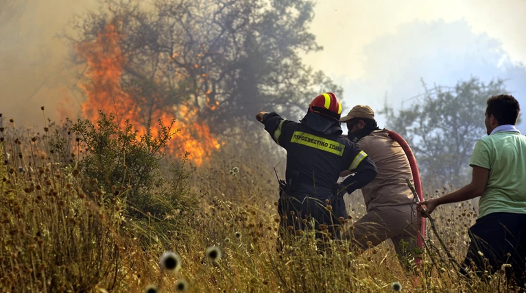 Φωτιά σε δασική έκταση κοντά στη Μονή Χιλανδαρίου στο Άγ. Όρος