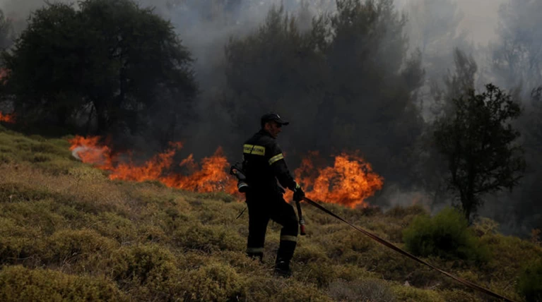 Πυρκαγιά σε δασική έκταση στην Ασωπία Βοιωτίας
