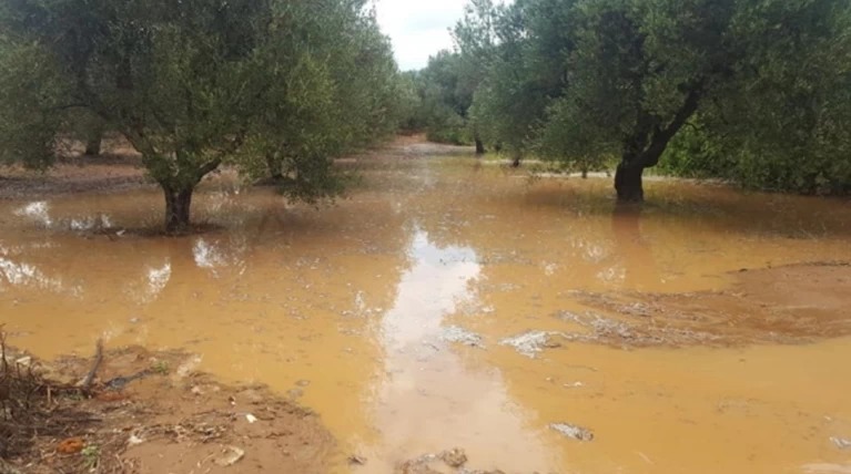 Η βροχή έπνιξε καλλιέργειες - Ποτάμια έγιναν αμπέλια & χωράφια ΒΙΝΤΕΟ-ΦΩΤΟ