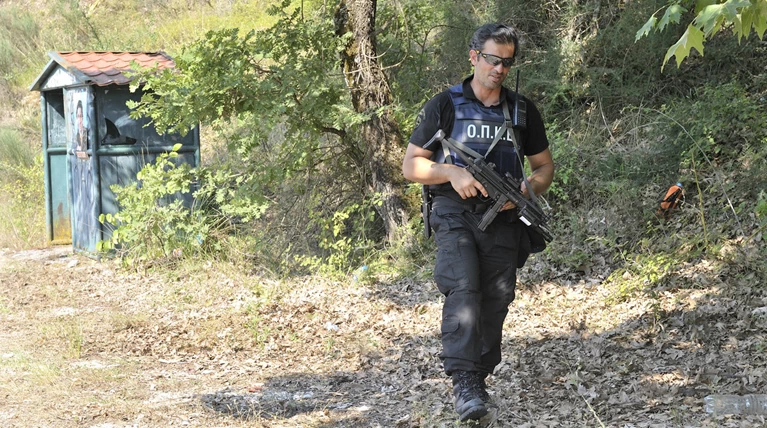 Ρόδος: Φυτεία κάνναβης «χαμένη» σε πυκνή βλάστηση-Ψάχνουν τους καλλιεργητές