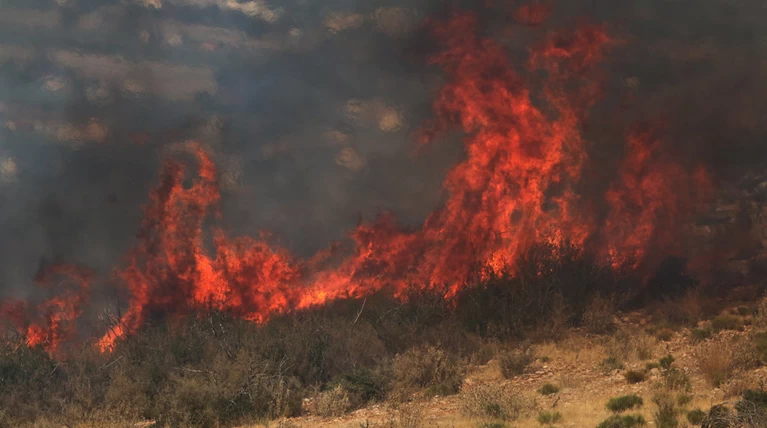 Υπό έλεγχο η μεγάλη πυρκαγιά στην Σκόπελο, ολονύχτια μάχη με τις φλόγες