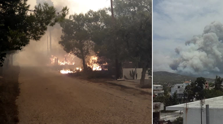 Μεγάλη φωτιά στην Κινέτα: Τέσσερα μέτωπα σε μήκος 6 χλμ