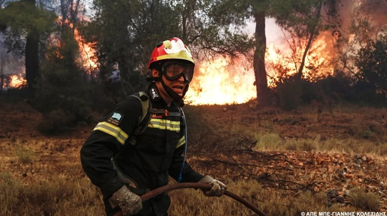 Σε εξέλιξη είναι νέα δασική πυρκαγιά στη Φθιώτιδα