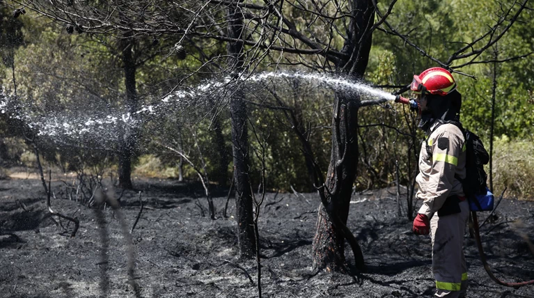 Πυρκαγιά στη περιοχή Λιθάκια Ζακύνθου