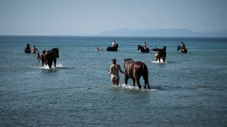 Η βόλτα των αλόγων στην παραλία του Σχινιά