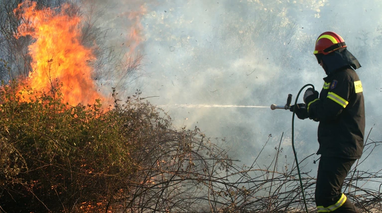 Σε εξέλιξη η πυρκαγιά στην περιοχή Κελεφά Λακωνίας