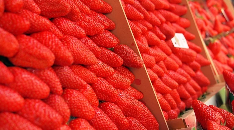 Συναγερμός για φράουλες με βελόνες στην Αυστραλία-Επιφυλακή στη Ν.Ζηλανδία