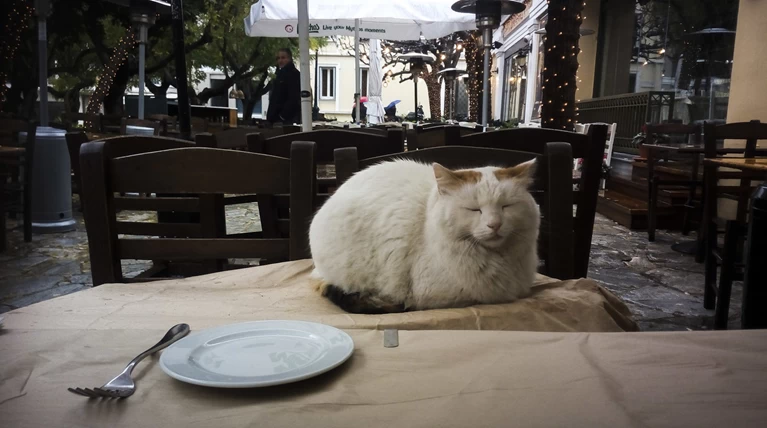 Ηλιοφάνεια και ψύχρα την Παρασκευή
