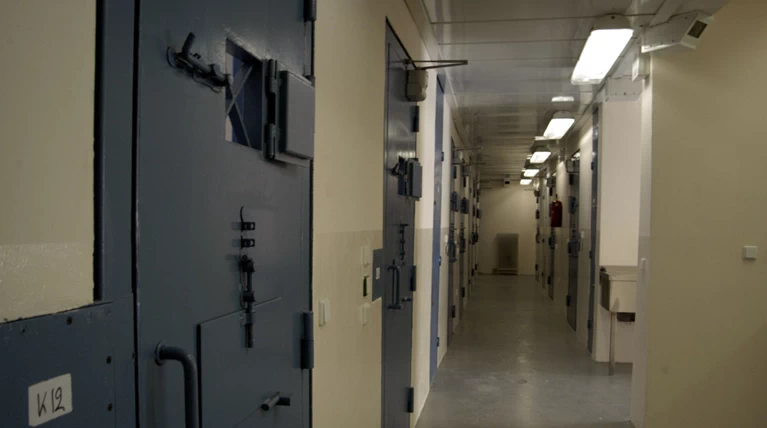 Επιστρέφει στη φυλακή ο Δημήτρης Ναστούλης