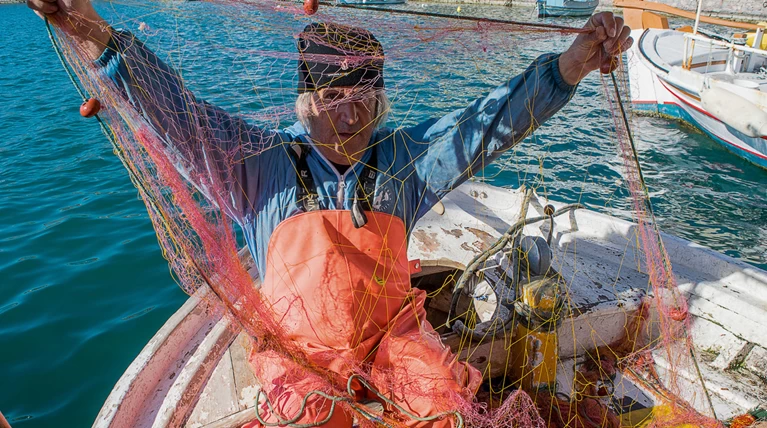 Μύρισε άνοιξη: Στους 20,4 βαθμούς η θερμοκρασία στην Αθήνα