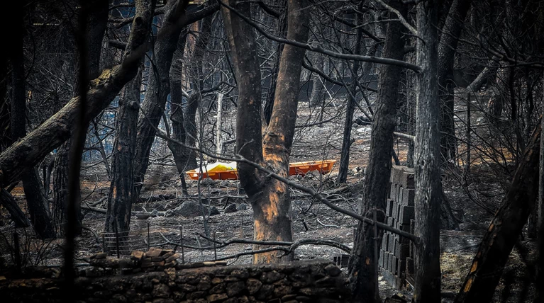 Λέκκας: Στο Μάτι υπήρξε συνολική αποτυχία της κοινωνίας