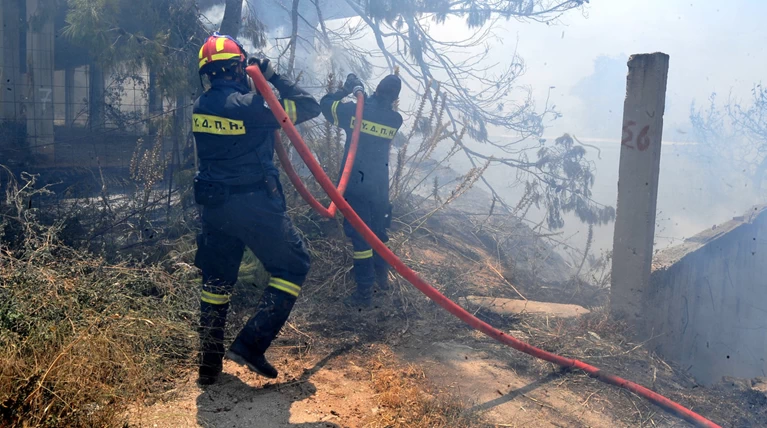 Κάηκαν 50 κατοικίδια σε φωτιά στη Νέα Μηχανιώνα