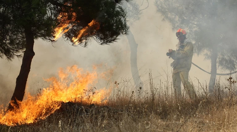 Θεσσαλονίκη: Σε εξέλιξη φωτιά σε αγροτοδασική έκταση