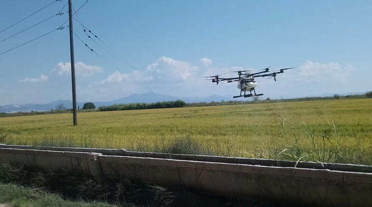Τεχνητή νοημοσύνη, big data και drones ενάντια στα κουνούπια