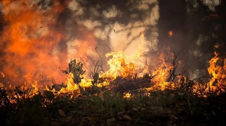 ΓΓΠΠ: Απαγορεύεται καύση χόρτων και επικίνδυνων για φωτιά εργασιών