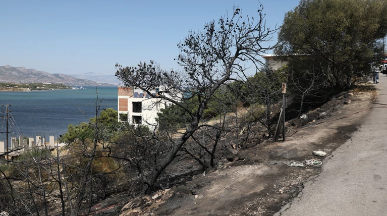 Υπό μερικό έλεγχο η φωτιά στα Μεγάρων, ενισχύονται δυνάμεις στο Μαρκόπουλο