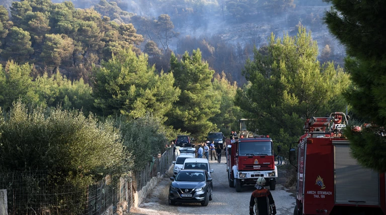 ΓΓ Πολιτικής Προστασίας: Η 7η φωτιά στην περιοχή σε 9 ημέρες