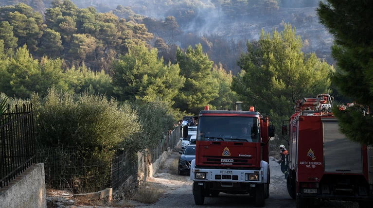 Σε εξέλιξη φωτιά στην Μάνδρα Αττικής