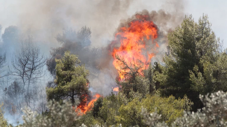 Σε εξέλιξη μεγάλη πυρκαγιά στη Ζάκυνθο στην περιοχή Λαγκαδάκια