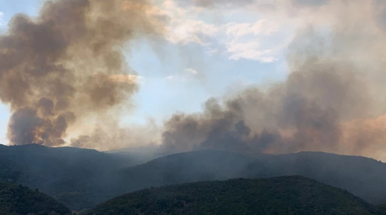 Φωτιά ξέσπασε σε δασική έκταση στο Αγρίνιο (Vid)