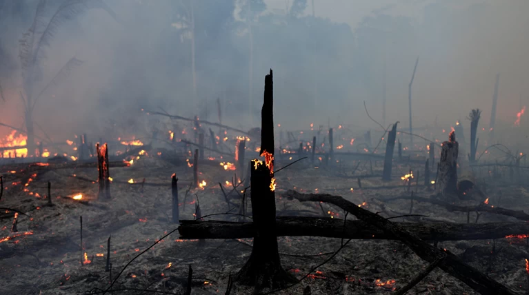 Η καταστροφή του Αμαζονίου όπως την είδε ο κινηματογράφος