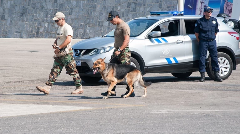 Απανθρακωμένο πτώμα άγνωστου άνδρα σε αυτοκίνητο στη Ρόδο