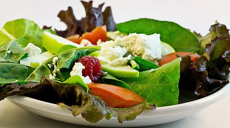Νέα έρευνα: Η vegan διατροφή κάνει καλό στο περιβάλλον