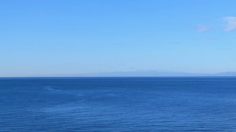 Το ινστιτούτο Pantone ανακοίνωσε ποιο είναι το χρώμα του 2020