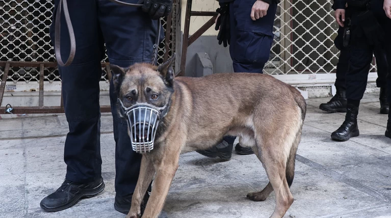 Περιπολίες με σκύλους στα Εξάρχεια- Το νέο στίλ αστυνόμευσης της περιοχής