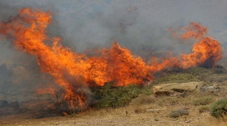 Φωτιά στην Στροφυλιά: Επί τόπου ισχυρή δύναμη της Πυροσβεστικής